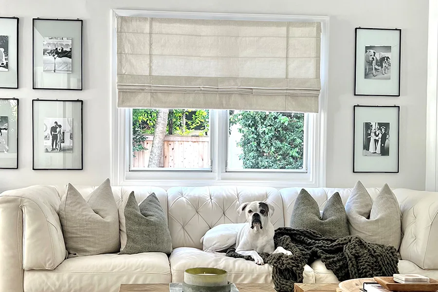 Roman shade covering a window in a white living room with a dog resting on a sofa